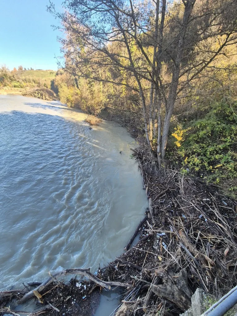 588667092 122401422284758044 2938604271053378588 n.jpg