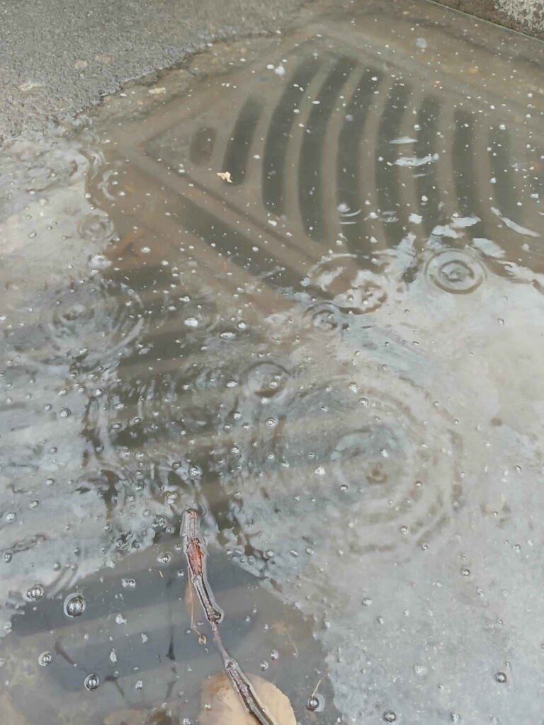 68567697 fc5d 4e68 9622 068e918ceca0