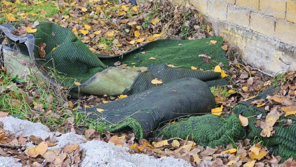 bdbe8023 3476 4d1f 8fcc e68fd300c5da