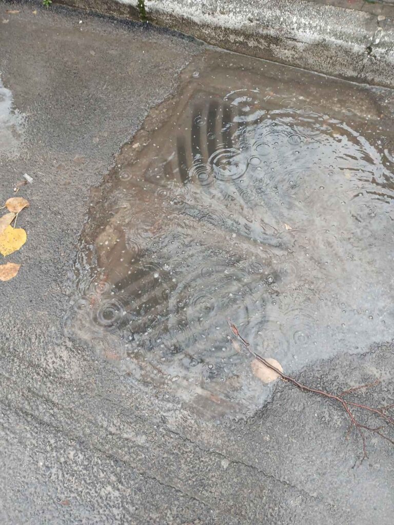 be049868 63f4 47a3 922f 71e169bcaa83