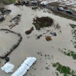 zimies poria 201125 1