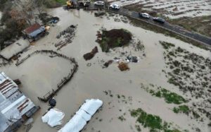 zimies poria 201125 1