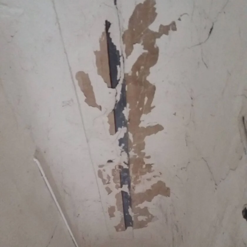 wp 17663350121377399585374182247849 840x840