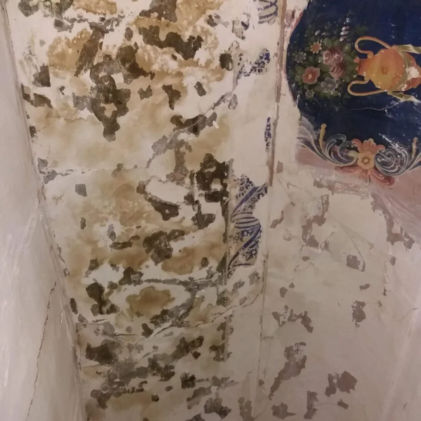 wp 17663350123066957245254126274780 840x840