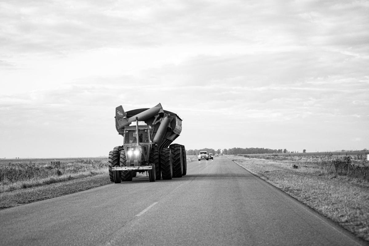 compina agropexels photo 33462116