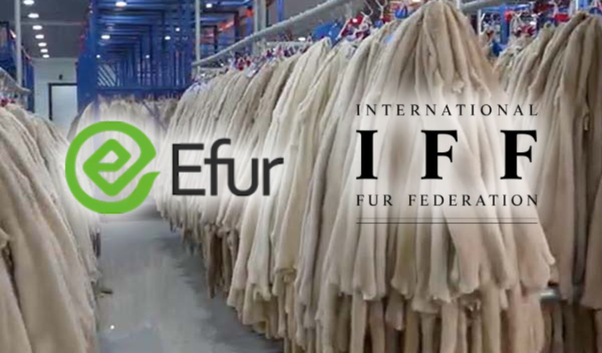 efur iff