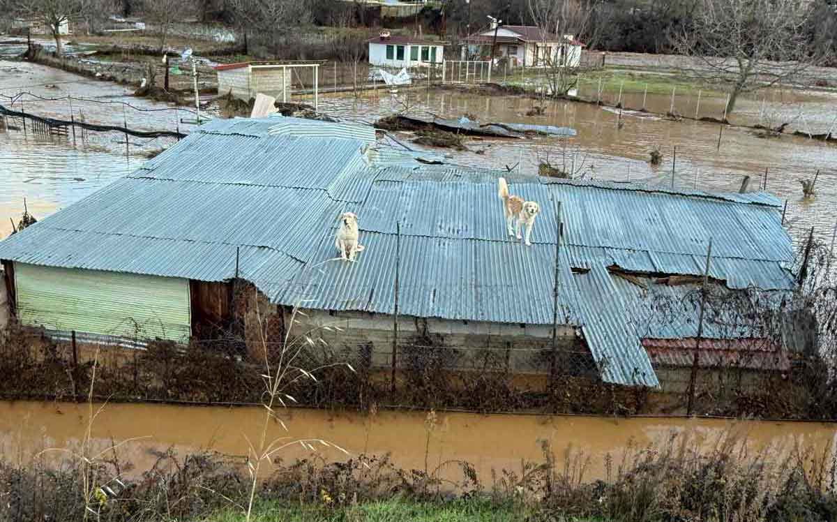 katastrofes 08 01 26 1