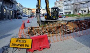 anaplasi plateias erga (1)