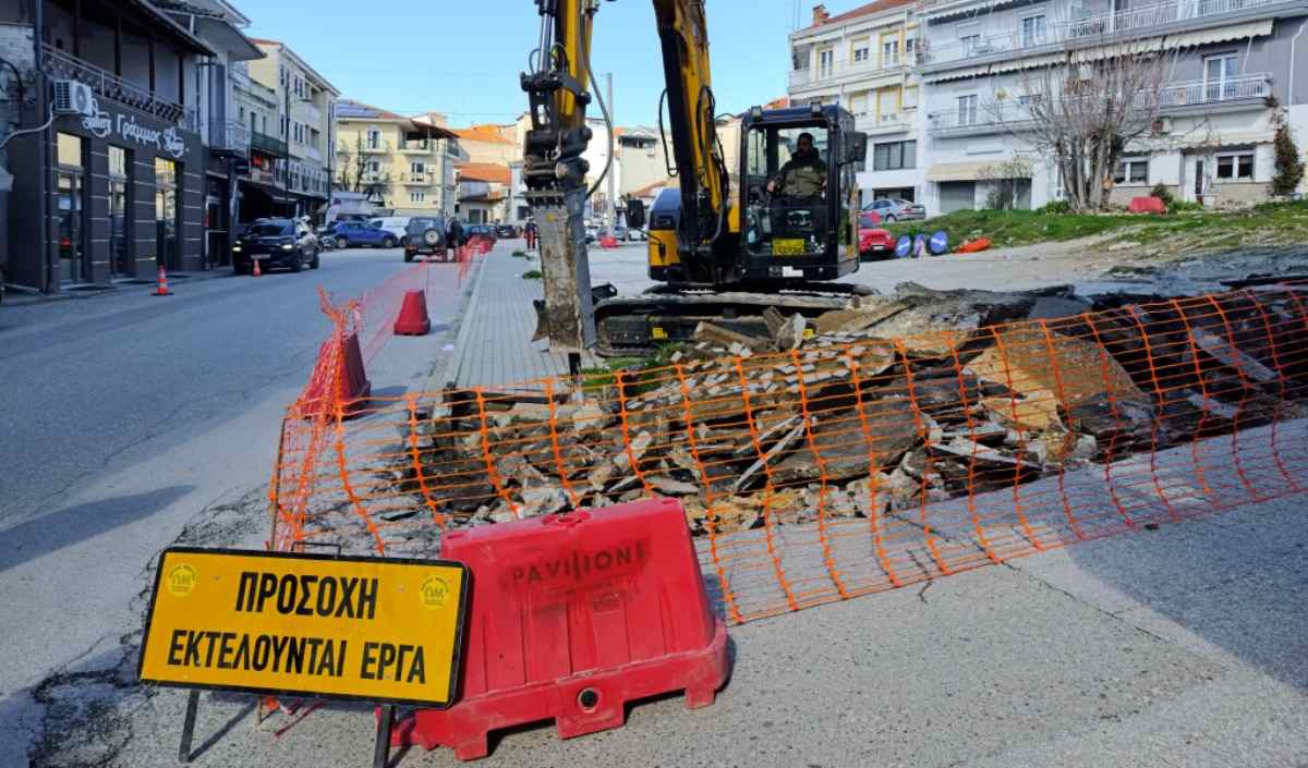 anaplasi plateias erga (1)