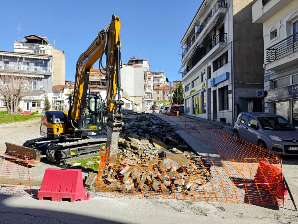 anaplasi plateias erga (2)