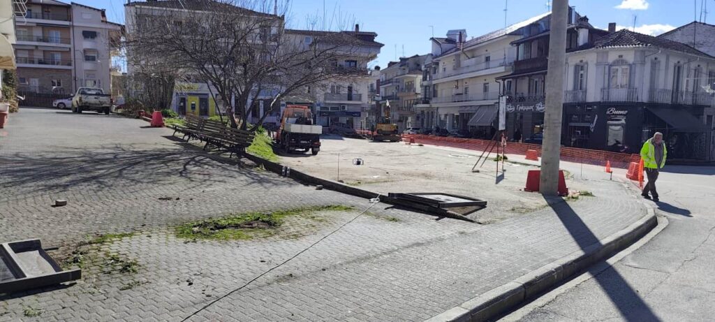 anaplasi plateias erga (4)