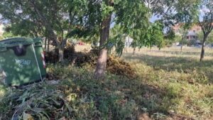 oikopeda katharismos