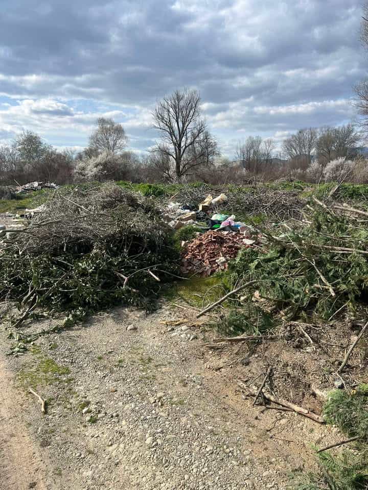 655250791 887322587666513 3024401043968642617 n