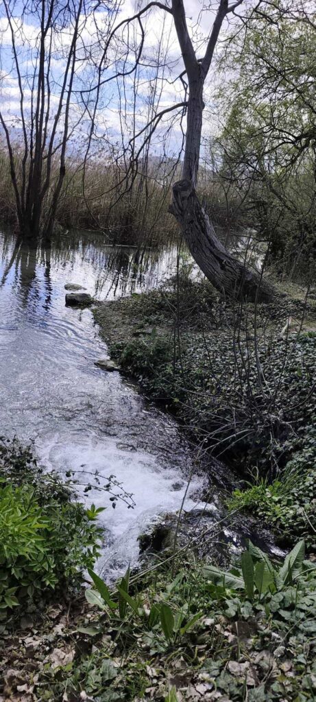 657350382 122169224606890493 3204390771651834509 n