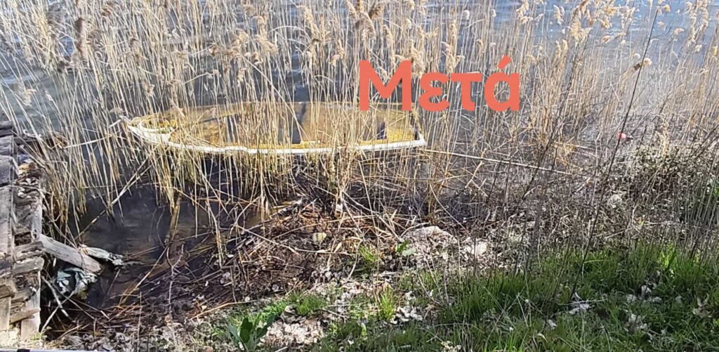 658366372 122169223910890493 6092671756832917761 n