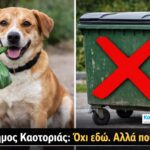 975e183d 9805 49b8 ab7c aa6d2c3e9ad1