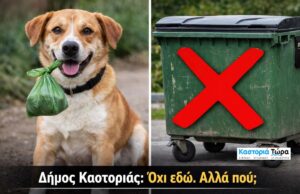 975e183d 9805 49b8 ab7c aa6d2c3e9ad1