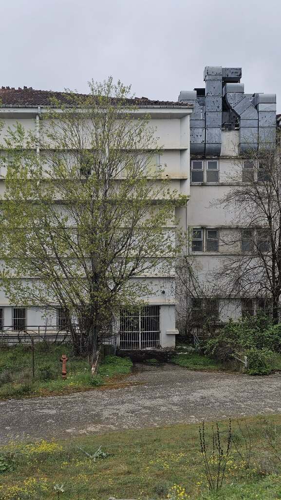 51b5b140 67b8 4999 9c1e 6ad931f86e89