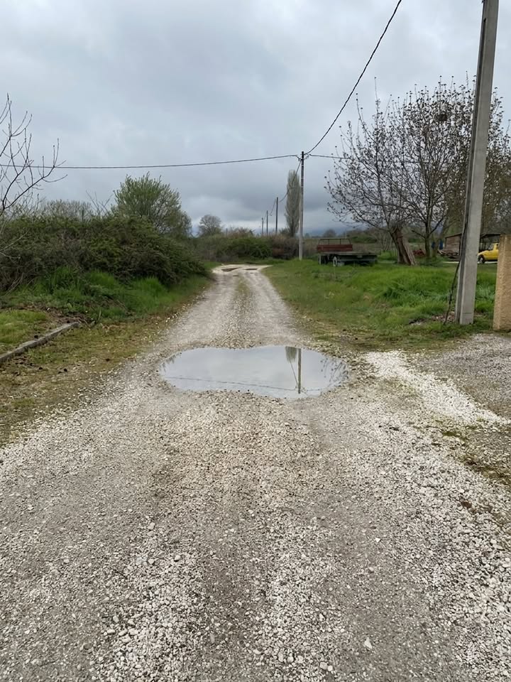 646831684 2006882000706567 2596776208797453071 n