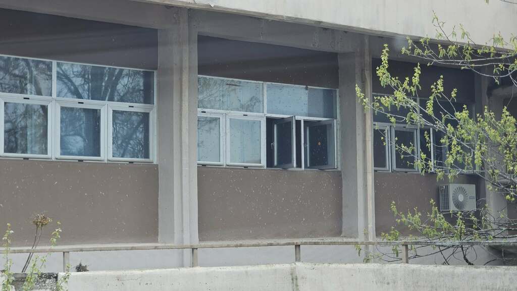 6642db64 5589 41c3 92b2 a39797cd5afb