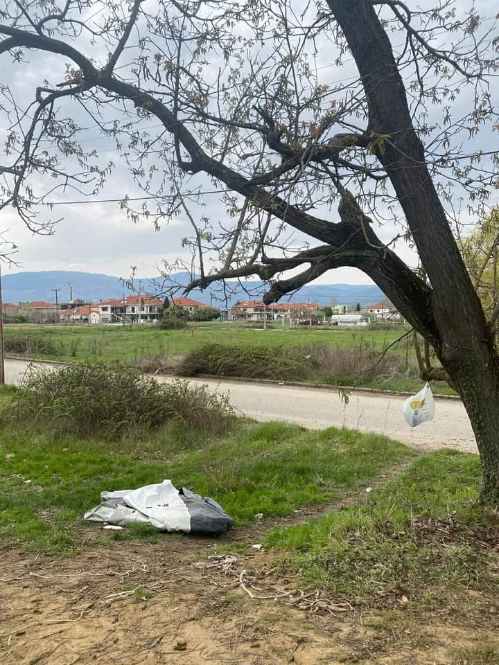 668936820 1071945966002697 2388809634267479464 n