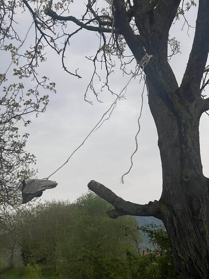 670769833 941916938551458 1072355360686282410 n