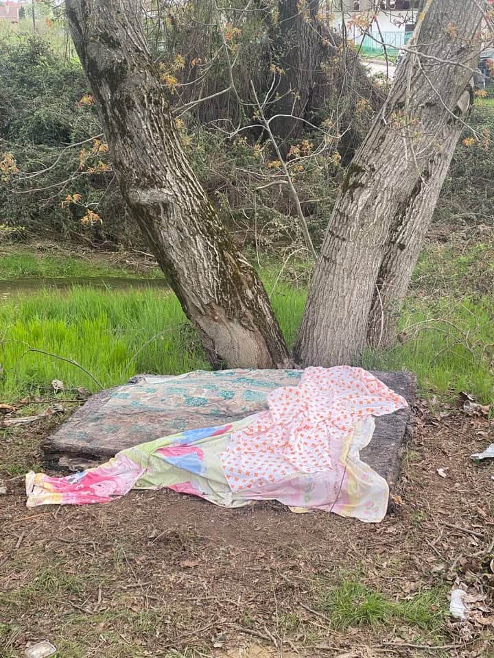 671644825 1948710842403889 3153539760799384206 n