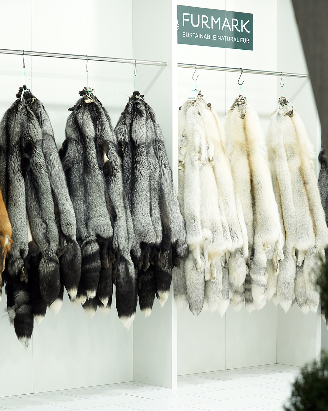 675972501 1397810509052555 4863866086878798182 n