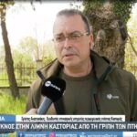 anastasakis