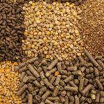 pdm eisagogi zootrofon 2