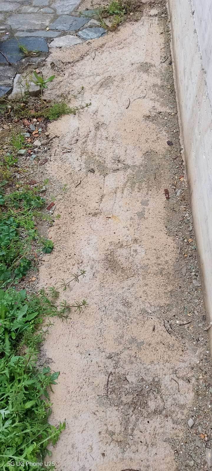 εικόνα viber 2026 04 15 13 56 52 149