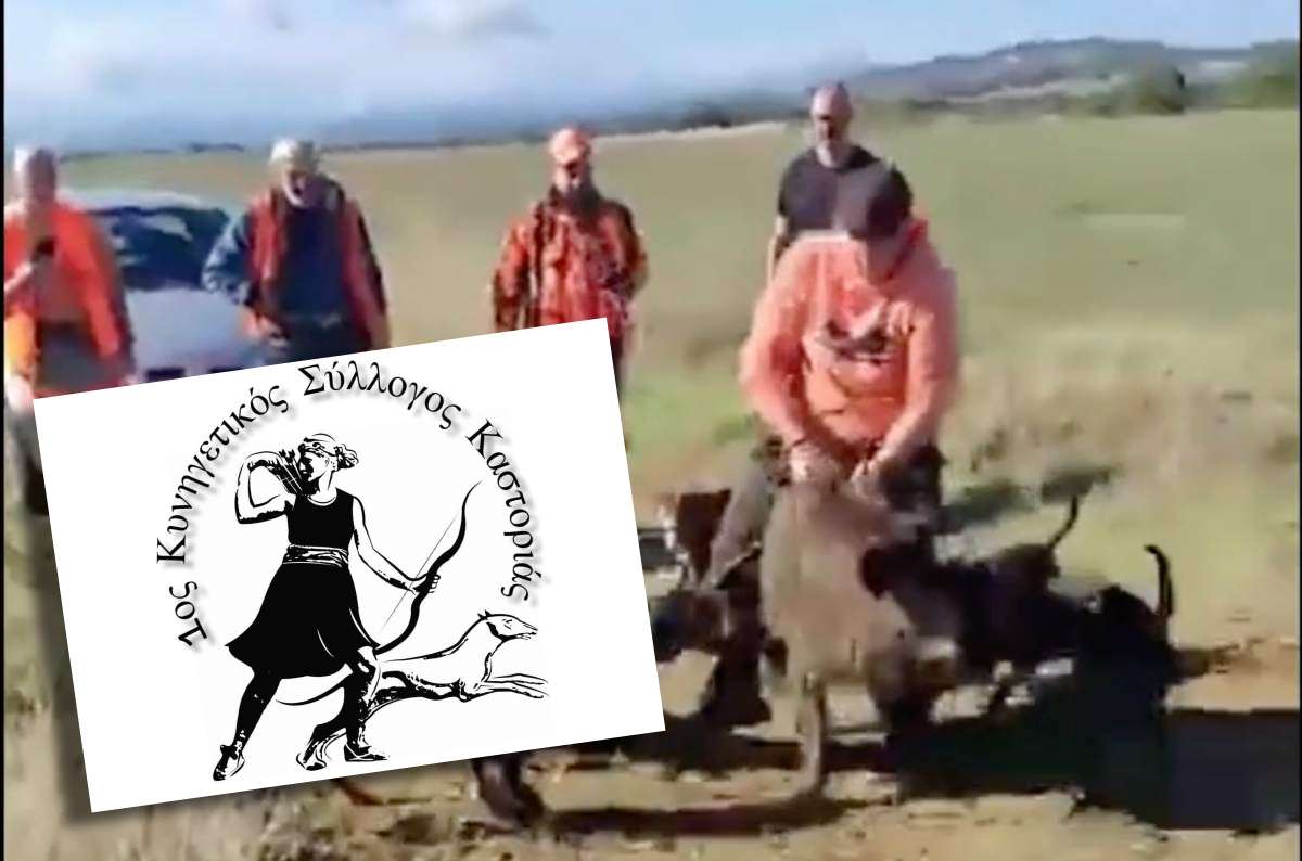 k vasanismos agriogourounou