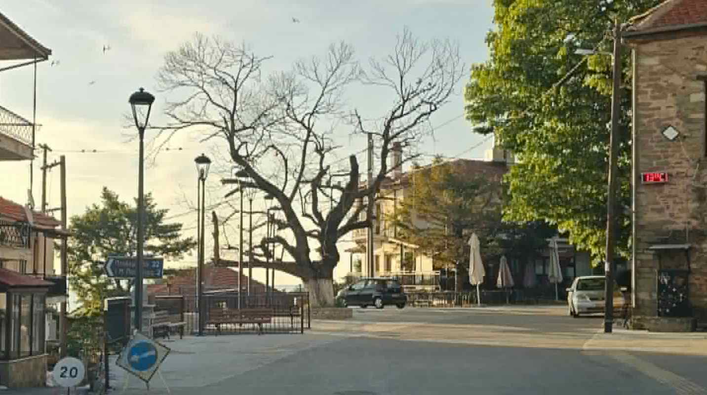 kastania klei