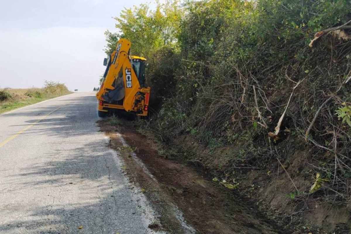 kopi kladion diamorosi tafronano pterias 3