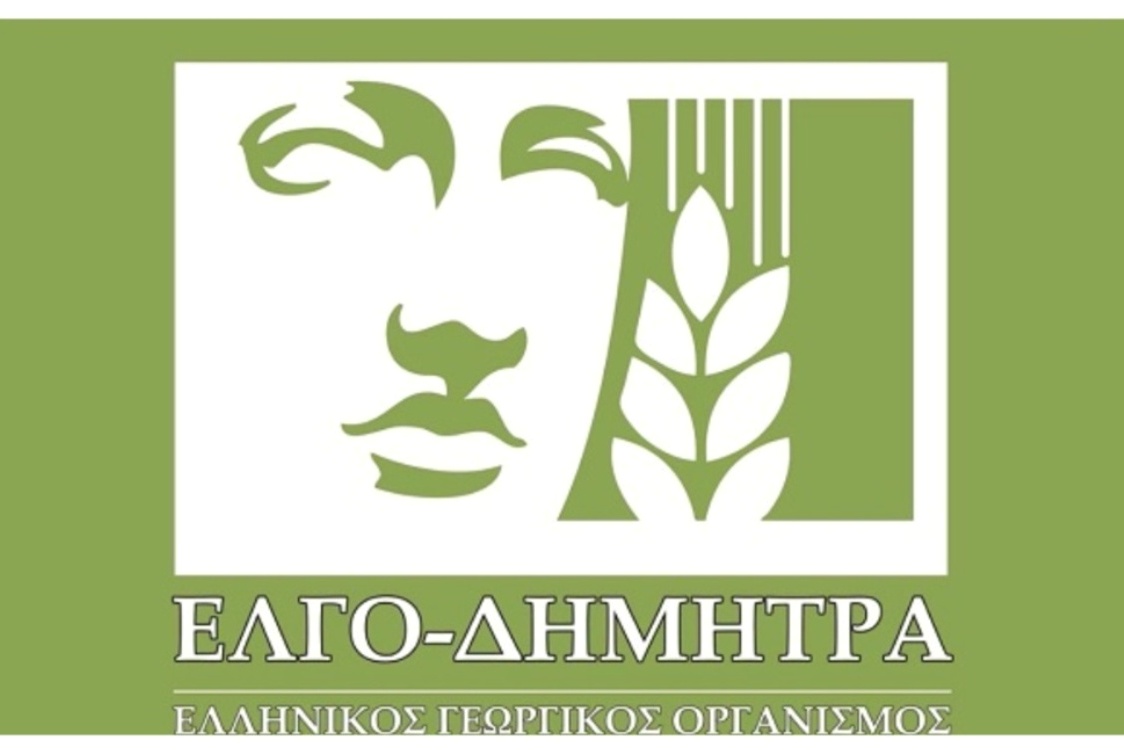 elgo dimitra1