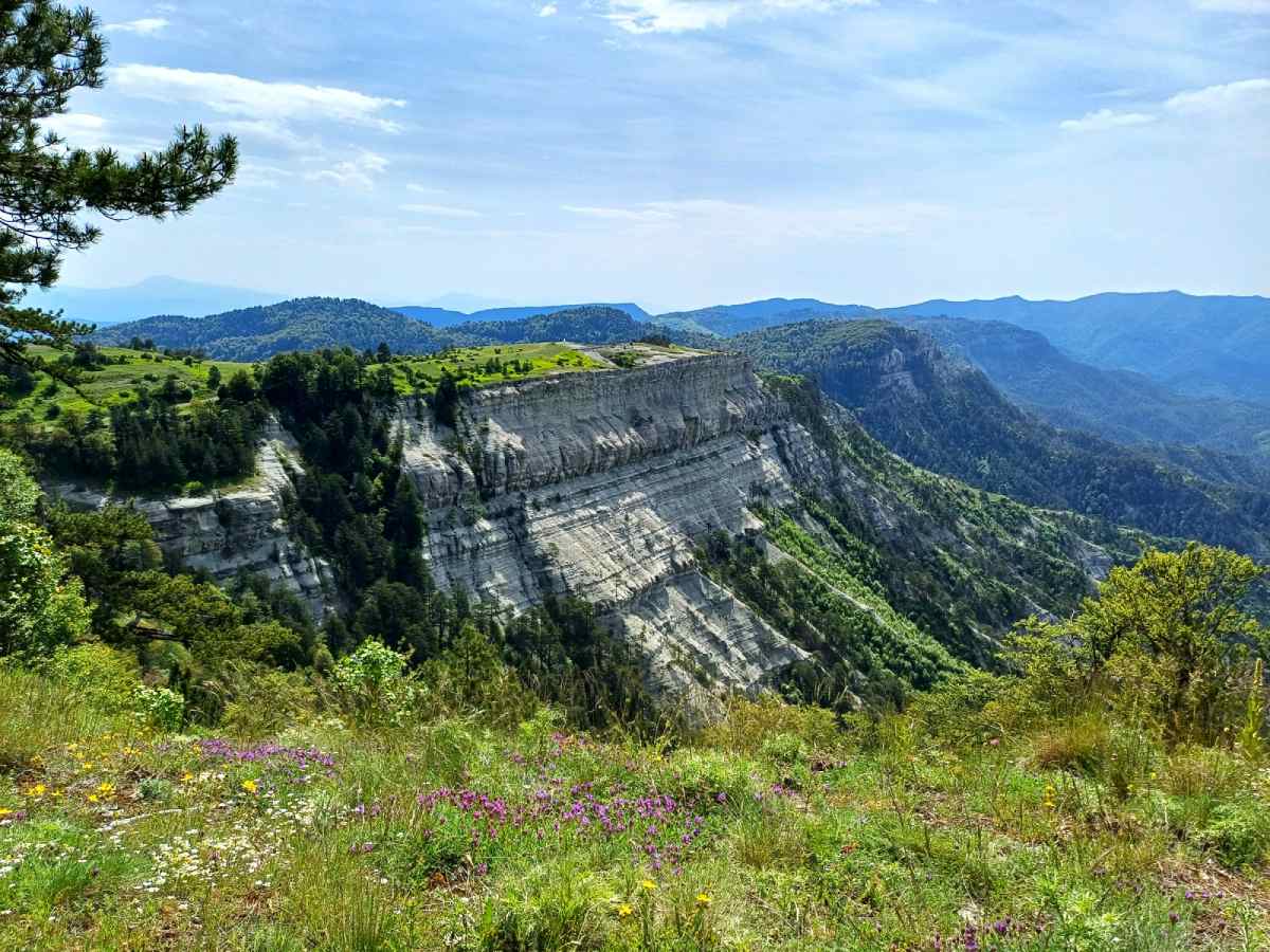 Το Πάσο Χάρου (1)