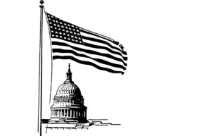 usa capitol flag